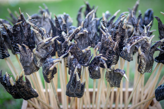 Authentic Alligator Claw - Back Scratcher